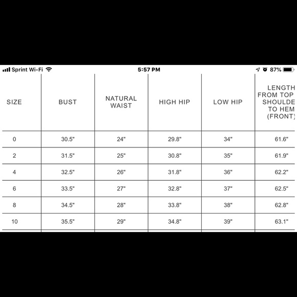 BHLDN KLARA lined long DRESS IN PINE 🌲 GREEN NWOT - Picture 7 of 8